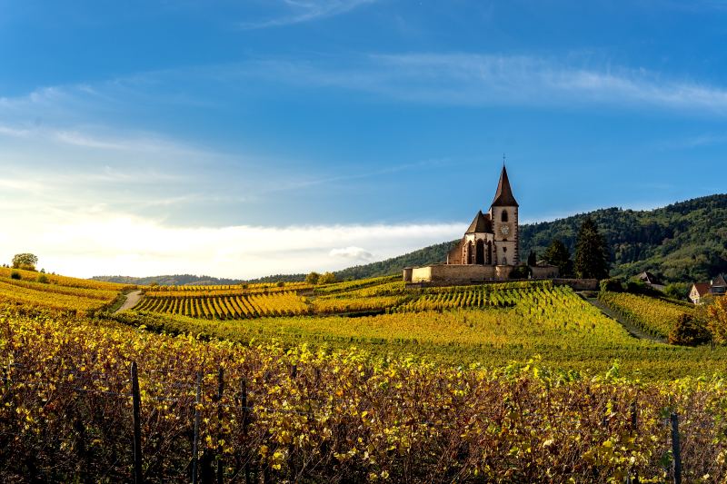 Винная дорога Эльзаса / La Route des Vins d’Alsace